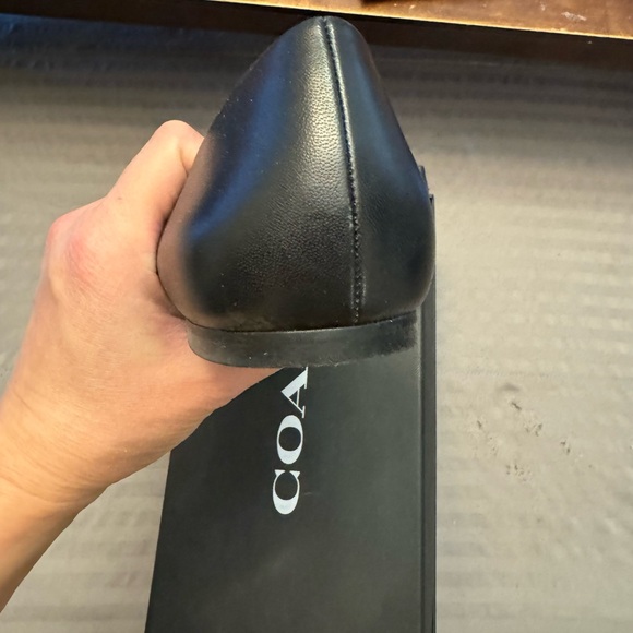 Coach Floral Appliqué Flat Shoes - Picture 3 of 14